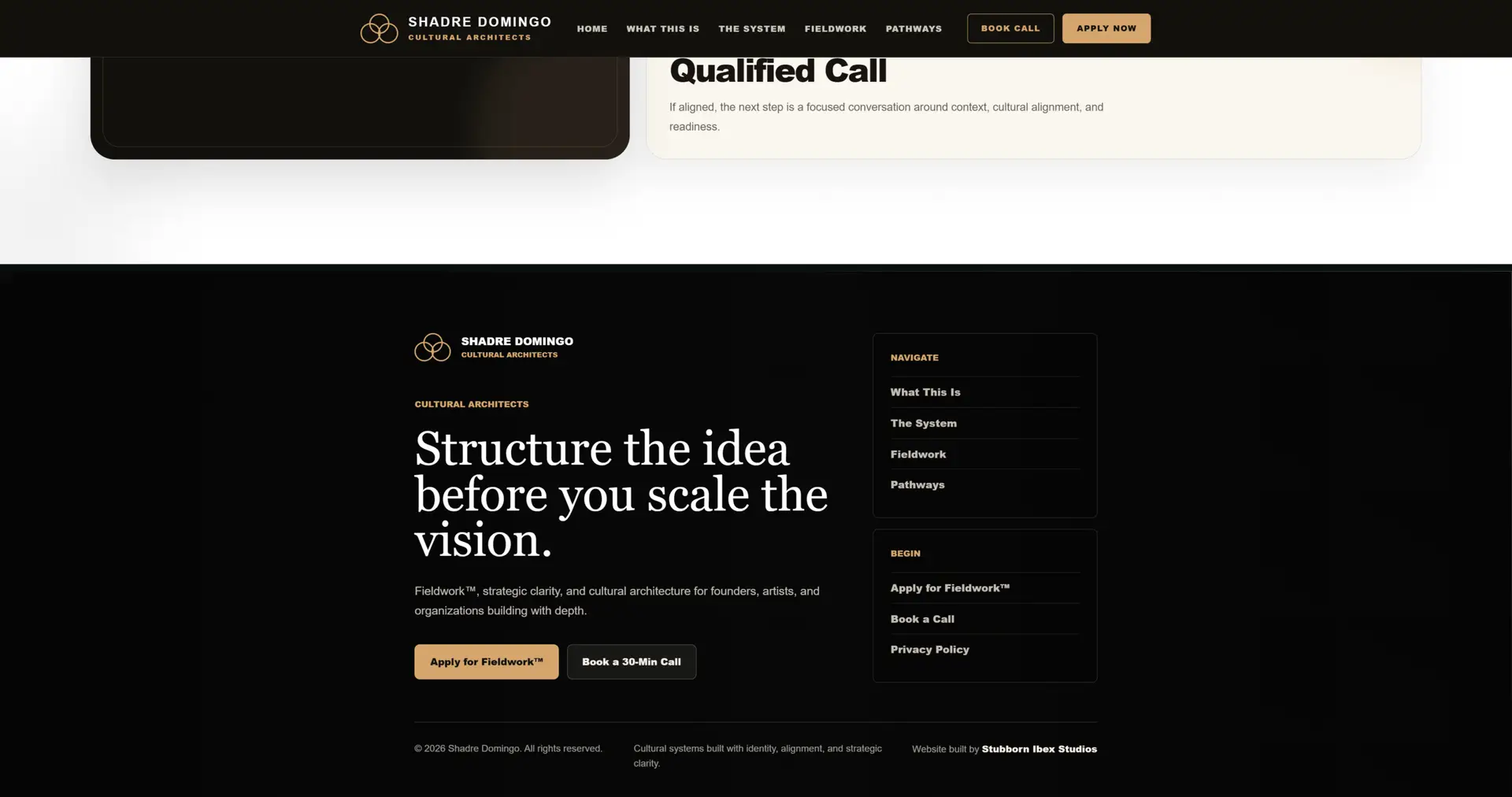 Shadre Domingo website project screen five