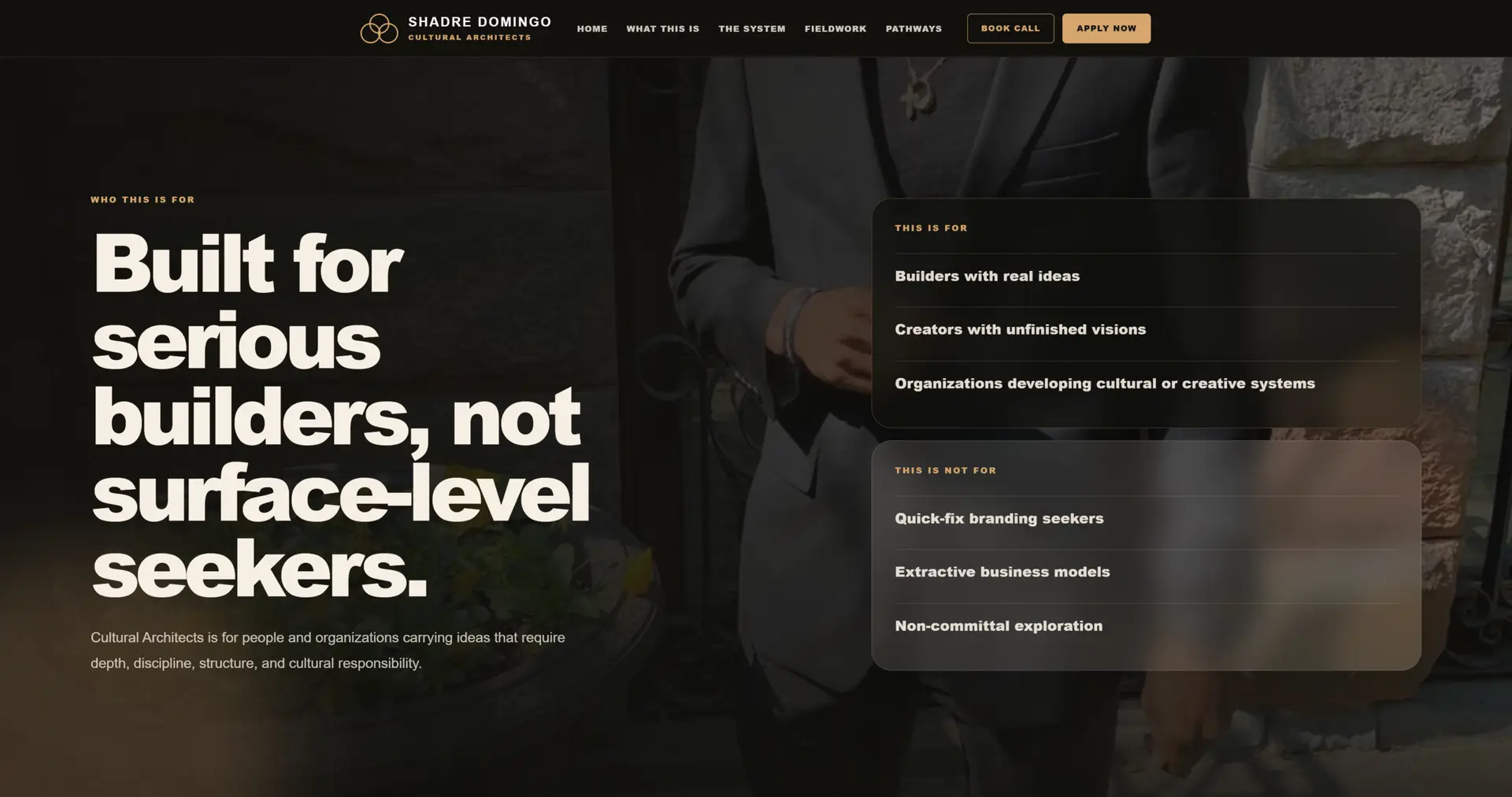 Shadre Domingo website project screen four