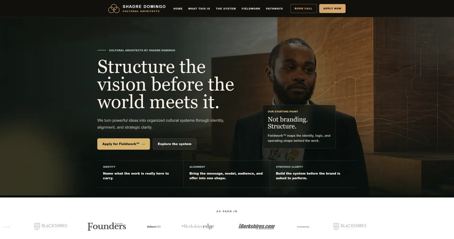 Shadre Domingo website project screen one