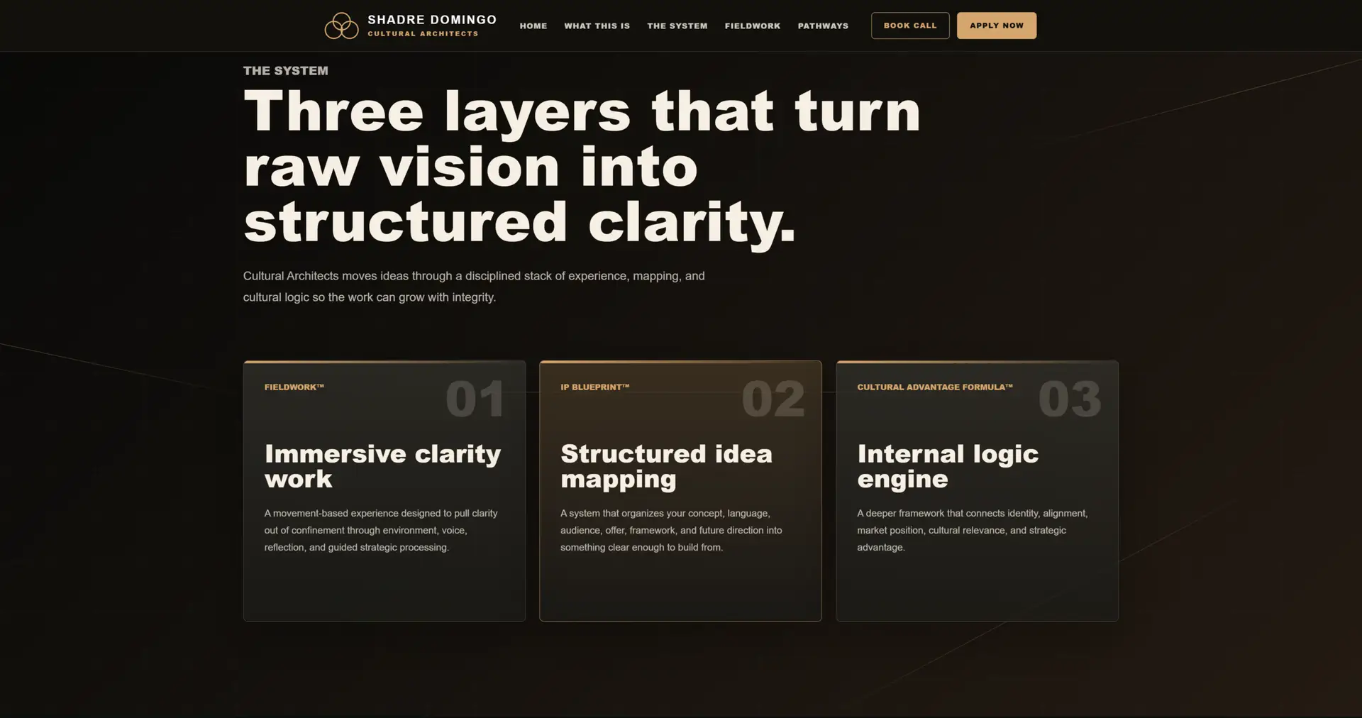 Shadre Domingo website project screen three