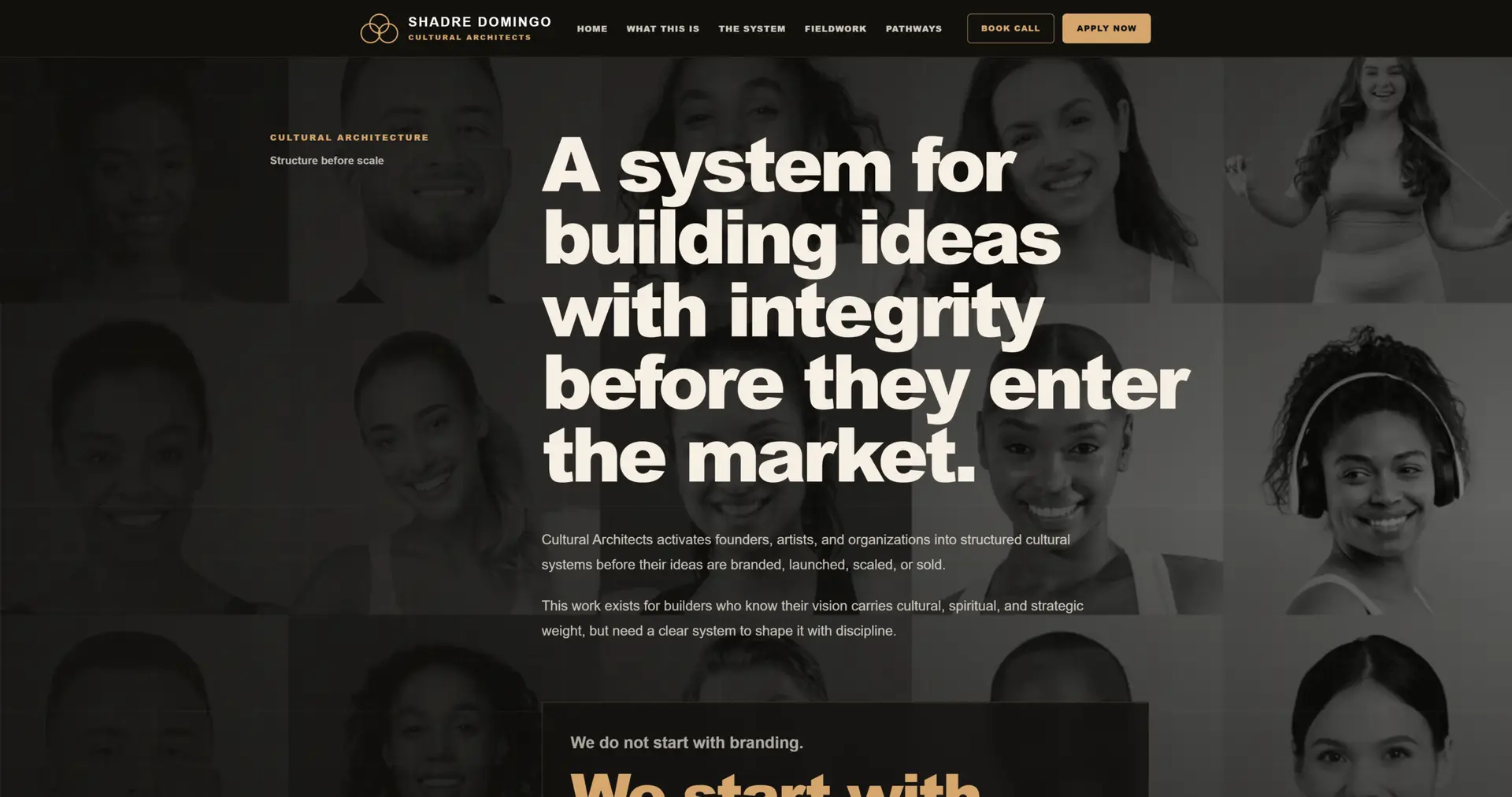 Shadre Domingo website project screen two