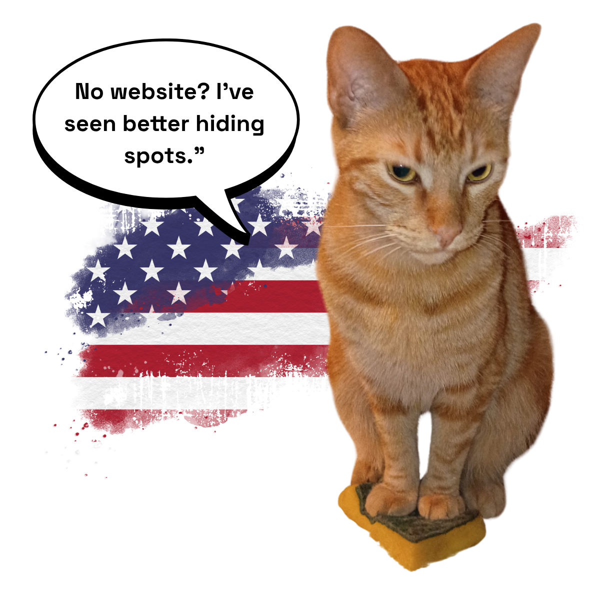 Pumpkin, the Stubborn Ibex Studios cat